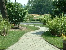 Paver Walk 1