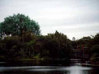Disney's Animal Kingdom
