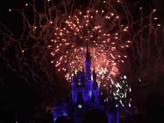 Magic Kingdom, Disney