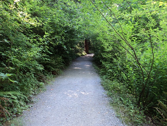 pathway