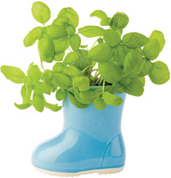 Mini Rainboot Gardens