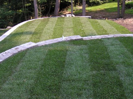 Upper lawn terraces