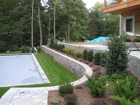 View with some of the plants in place