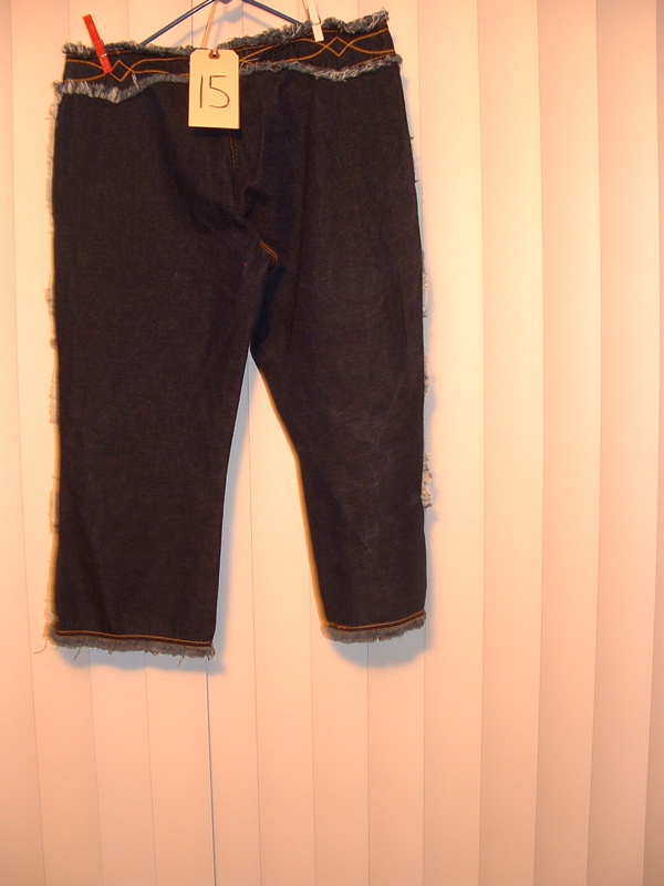 Item 15 Back