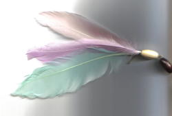 feathers