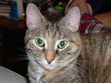 desie