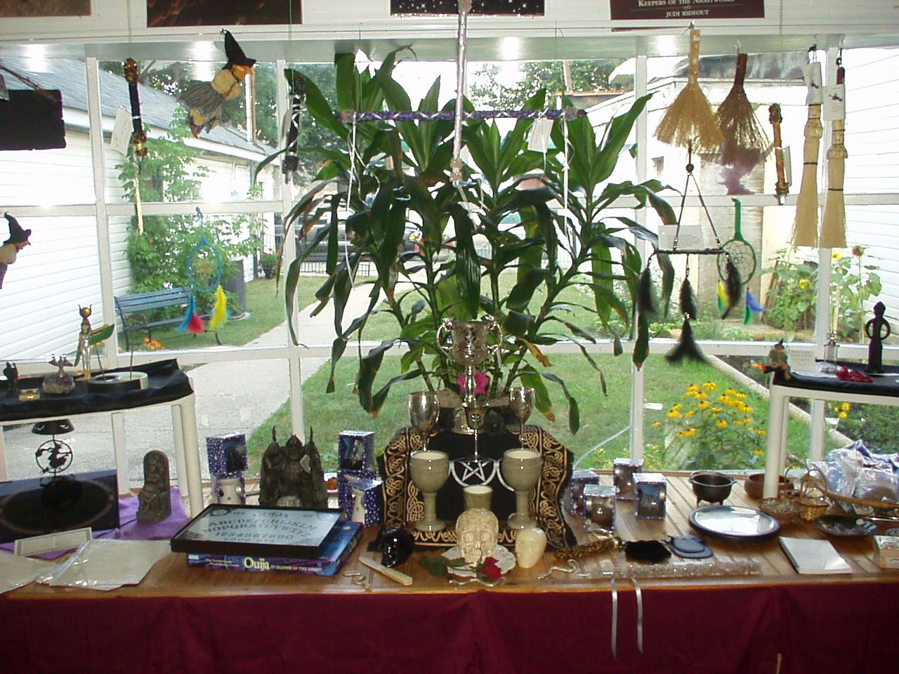 Shop Window