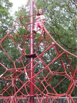 picture of monkeyking